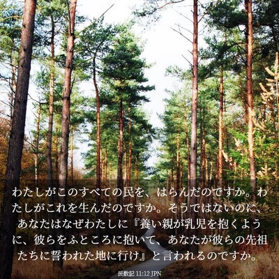 Picture 03 - 民数記 11:12 JPN - わたしがこのすべての民を、はらん - Bible Verse Picture