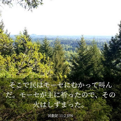 Picture 03 - 民数記 11:2 JPN - そこで民はモーセにむかって叫んだ - Bible Verse Picture