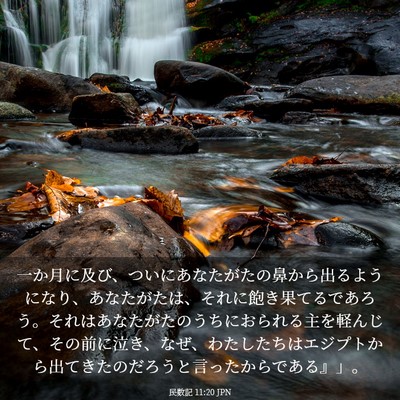 Picture 03 - 民数記 11:20 JPN - 一か月に及び、ついにあなたがたの - Bible Verse Picture