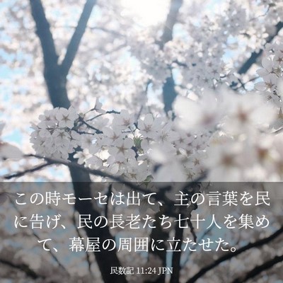 Picture 03 - 民数記 11:24 JPN - この時モーセは出て、主の言葉を民 - Bible Verse Picture