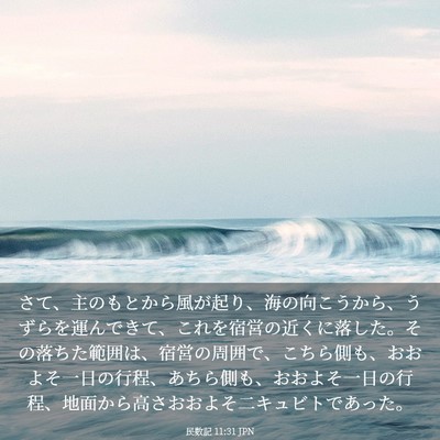 Picture 03 - 民数記 11:31 JPN - さて、主のもとから風が起り、海の - Bible Verse Picture
