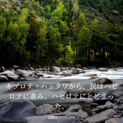 Picture 03 - 民数記 11:35 JPN - キブロテ・ハッタワから、民はハゼ - Bible Verse Picture