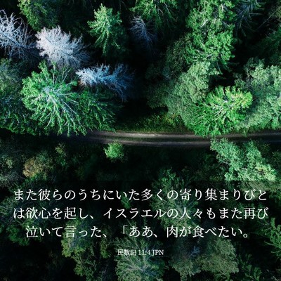 Picture 03 - 民数記 11:4 JPN - また彼らのうちにいた多くの寄り集 - Bible Verse Picture