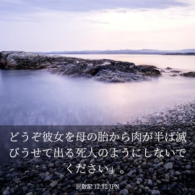 Picture 03 - 民数記 12:12 JPN - どうぞ彼女を母の胎から肉が半ば滅 - Bible Verse Picture