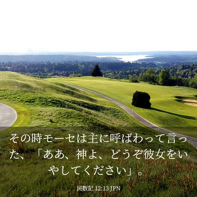 Picture 03 - 民数記 12:13 JPN - その時モーセは主に呼ばわって言っ - Bible Verse Picture