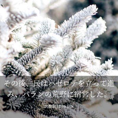 Picture 03 - 民数記 12:16 JPN - その後、民はハゼロテを立って進み - Bible Verse Picture