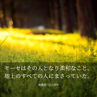 Picture 03 - 民数記 12:3 JPN - モーセはその人となり柔和なこと、 - Bible Verse Picture