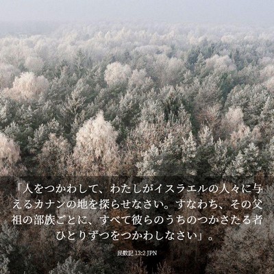 Picture 03 - 民数記 13:2 JPN - 「人をつかわして、わたしがイスラ - Bible Verse Picture