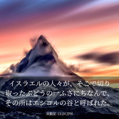 Picture 03 - 民数記 13:24 JPN - イスラエルの人々が、そこで切り取 - Bible Verse Picture