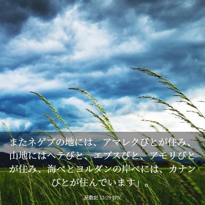 Picture 03 - 民数記 13:29 JPN - またネゲブの地には、アマレクびと - Bible Verse Picture