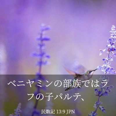 Picture 03 - 民数記 13:9 JPN - ベニヤミンの部族ではラフの子パル - Bible Verse Picture