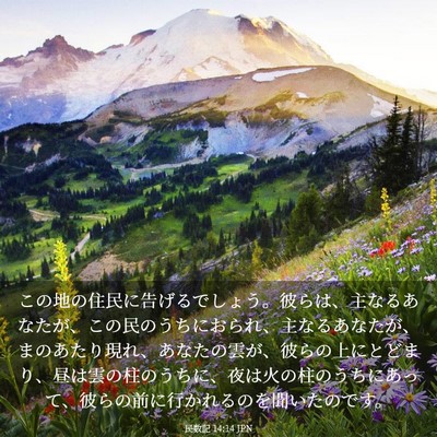 Picture 03 - 民数記 14:14 JPN - この地の住民に告げるでしょう。彼 - Bible Verse Picture