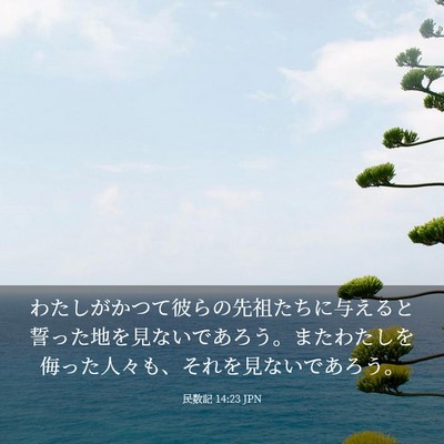 Picture 03 - 民数記 14:23 JPN - わたしがかつて彼らの先祖たちに与 - Bible Verse Picture