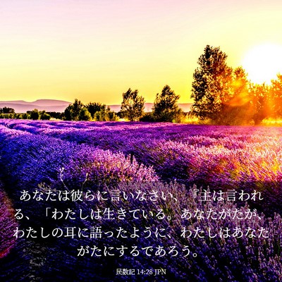 Picture 03 - 民数記 14:28 JPN - あなたは彼らに言いなさい、『主は - Bible Verse Picture