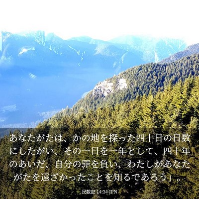 Picture 03 - 民数記 14:34 JPN - あなたがたは、かの地を探った四十 - Bible Verse Picture