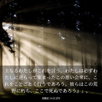 Picture 03 - 民数記 14:35 JPN - 主なるわたしがこれを言う。わたし - Bible Verse Picture
