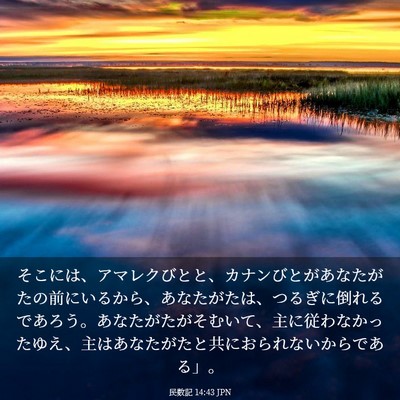 Picture 03 - 民数記 14:43 JPN - そこには、アマレクびとと、カナン - Bible Verse Picture