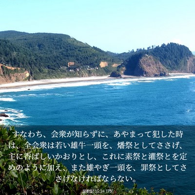 Picture 03 - 民数記 15:24 JPN - すなわち、会衆が知らずに、あやま - Bible Verse Picture