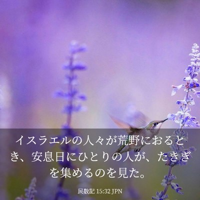 Picture 03 - 民数記 15:32 JPN - イスラエルの人々が荒野におるとき - Bible Verse Picture