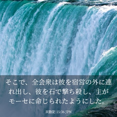 Picture 03 - 民数記 15:36 JPN - そこで、全会衆は彼を宿営の外に連 - Bible Verse Picture
