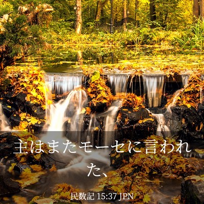 Picture 03 - 民数記 15:37 JPN - 主はまたモーセに言われた、 - Bible Verse Picture