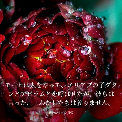 Picture 03 - 民数記 16:12 JPN - モーセは人をやって、エリアブの子 - Bible Verse Picture