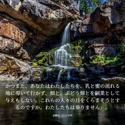 Picture 03 - 民数記 16:14 JPN - かつまた、あなたはわたしたちを、 - Bible Verse Picture