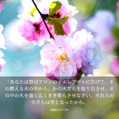 Picture 03 - 民数記 16:37 JPN - 「あなたは祭司アロンの子エレアザ - Bible Verse Picture