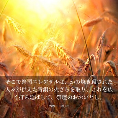Picture 03 - 民数記 16:39 JPN - そこで祭司エレアザルは、かの焼き - Bible Verse Picture