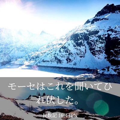 Picture 03 - 民数記 16:4 JPN - モーセはこれを聞いてひれ伏した。 - Bible Verse Picture