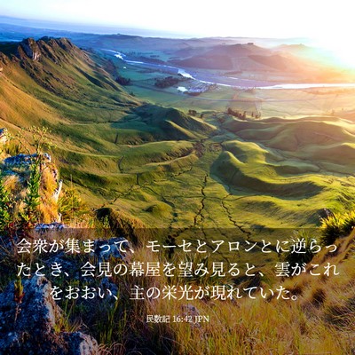 Picture 03 - 民数記 16:42 JPN - 会衆が集まって、モーセとアロンと - Bible Verse Picture