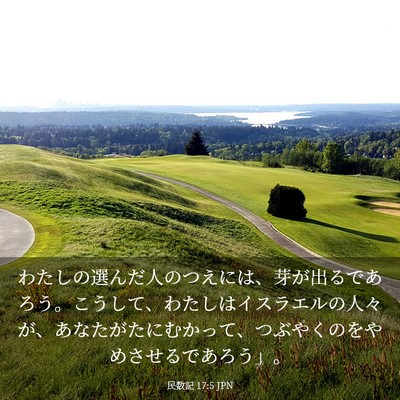 Picture 03 - 民数記 17:5 JPN - わたしの選んだ人のつえには、芽が - Bible Verse Picture