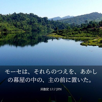 Picture 03 - 民数記 17:7 JPN - モーセは、それらのつえを、あかし - Bible Verse Picture