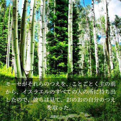Picture 03 - 民数記 17:9 JPN - モーセがそれらのつえを、ことごと - Bible Verse Picture