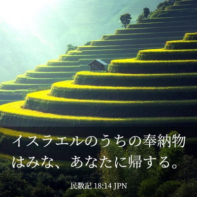 Picture 03 - 民数記 18:14 JPN - イスラエルのうちの奉納物はみな、 - Bible Verse Picture