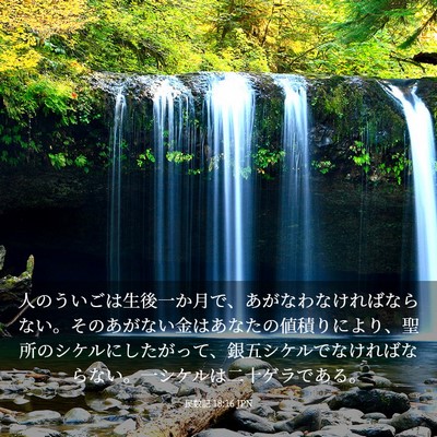 Picture 03 - 民数記 18:16 JPN - 人のういごは生後一か月で、あがな - Bible Verse Picture