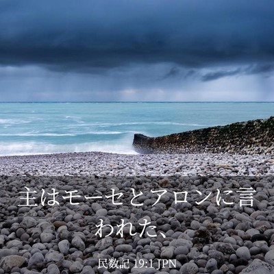 Picture 03 - 民数記 19:1 JPN - 主はモーセとアロンに言われた、 - Bible Verse Picture