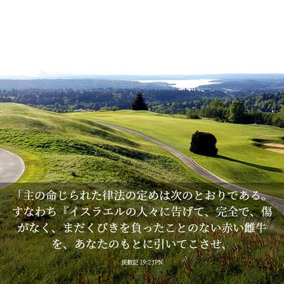 Picture 03 - 民数記 19:2 JPN - 「主の命じられた律法の定めは次の - Bible Verse Picture