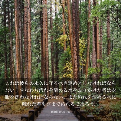 Picture 03 - 民数記 19:21 JPN - これは彼らの永久に守るべき定めと - Bible Verse Picture