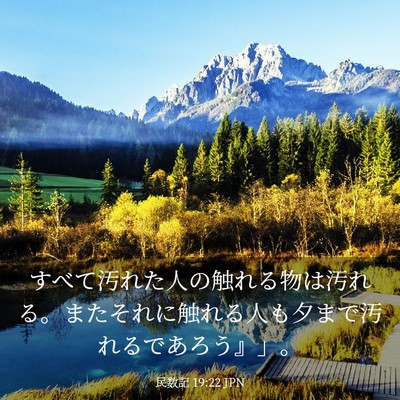 Picture 03 - 民数記 19:22 JPN - すべて汚れた人の触れる物は汚れる - Bible Verse Picture
