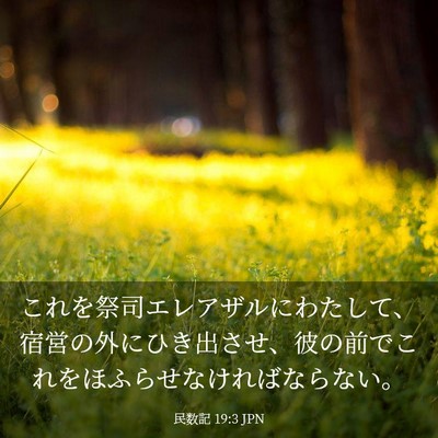 Picture 03 - 民数記 19:3 JPN - これを祭司エレアザルにわたして、 - Bible Verse Picture
