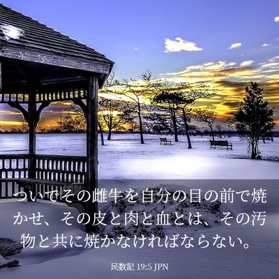Picture 03 - 民数記 19:5 JPN - ついでその雌牛を自分の目の前で焼 - Bible Verse Picture