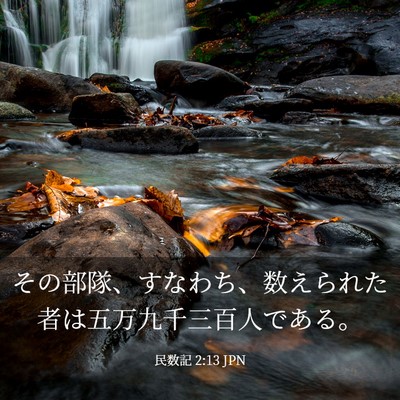 Picture 03 - 民数記 2:13 JPN - その部隊、すなわち、数えられた者 - Bible Verse Picture