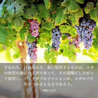 Picture 03 - 民数記 2:3 JPN - すなわち、日の出る方、東に宿営す - Bible Verse Picture