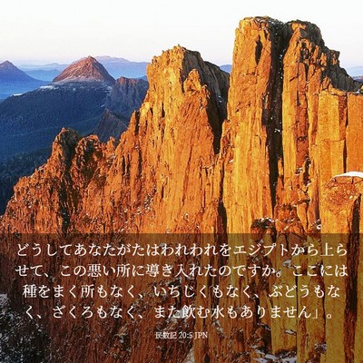 Picture 03 - 民数記 20:5 JPN - どうしてあなたがたはわれわれをエ - Bible Verse Picture
