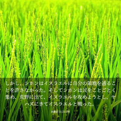 Picture 03 - 民数記 21:23 JPN - しかし、シホンはイスラエルに自分 - Bible Verse Picture