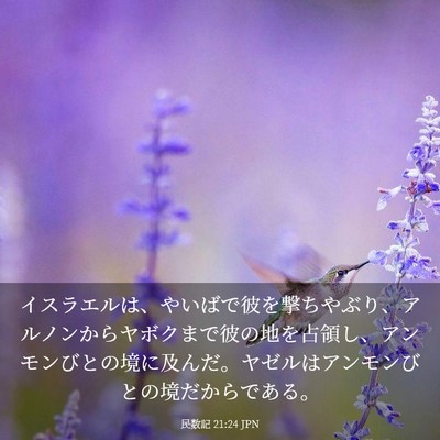 Picture 03 - 民数記 21:24 JPN - イスラエルは、やいばで彼を撃ちや - Bible Verse Picture