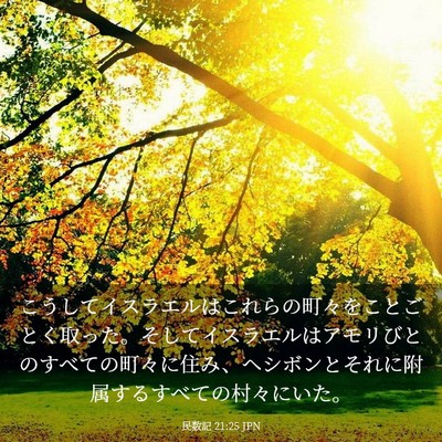 Picture 03 - 民数記 21:25 JPN - こうしてイスラエルはこれらの町々 - Bible Verse Picture