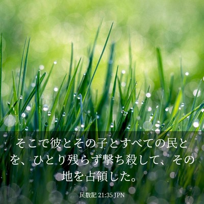 Picture 03 - 民数記 21:35 JPN - そこで彼とその子とすべての民とを - Bible Verse Picture