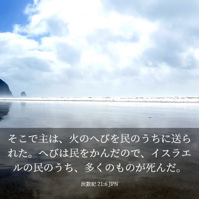 Picture 03 - 民数記 21:6 JPN - そこで主は、火のへびを民のうちに - Bible Verse Picture